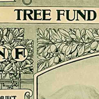 Tree Fund Joe Krull