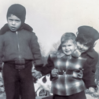 Barry Steinberg Stan Kaufman Judy Steinberg 1050 Port Chester NY