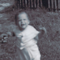Stu 1955